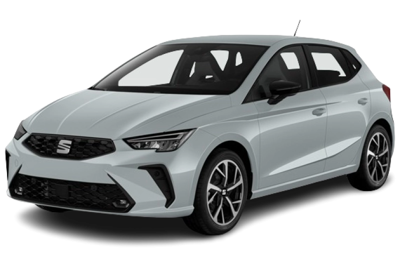 Seat Ibiza - Vue du véhicule
